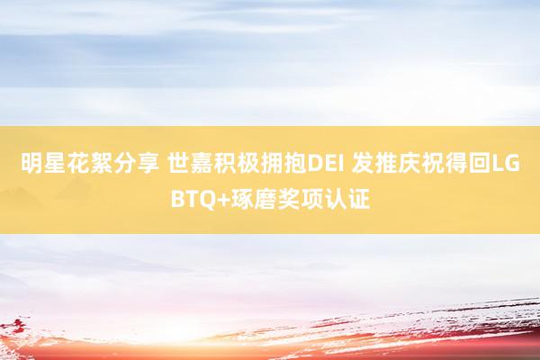 明星花絮分享 世嘉积极拥抱DEI 发推庆祝得回LGBTQ+琢磨奖项认证