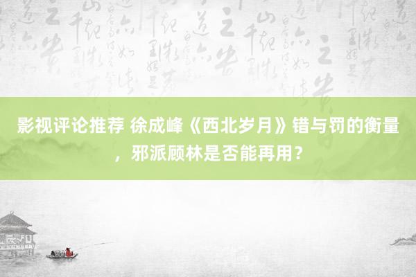 影视评论推荐 徐成峰《西北岁月》错与罚的衡量，邪派顾林是否能再用？