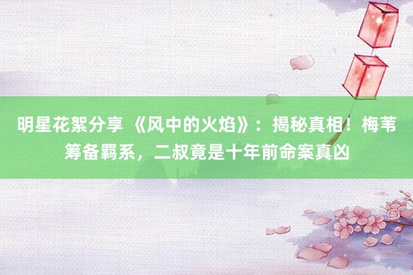 明星花絮分享 《风中的火焰》：揭秘真相！梅苇筹备羁系，二叔竟是十年前命案真凶